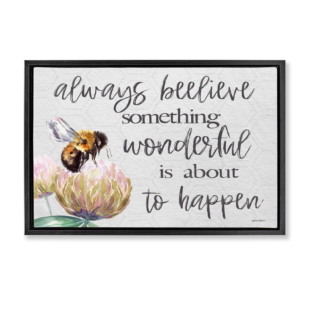 Stupell Industries Always Believe Something Wonderful Floating Frame, design by Susie Boyer